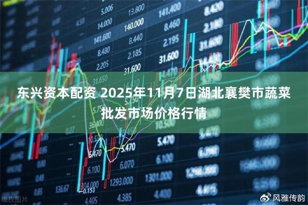 东兴资本配资 2025年11月7日湖北襄樊市蔬菜批发市场价格行情