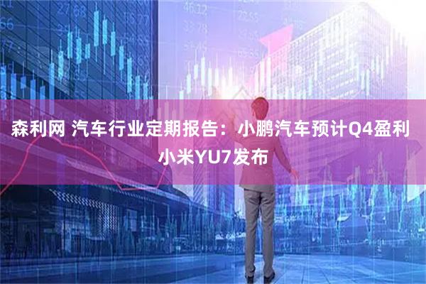 森利网 汽车行业定期报告：小鹏汽车预计Q4盈利 小米YU7发布