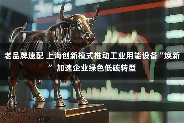老品牌速配 上海创新模式推动工业用能设备“焕新” 加速企业绿色低碳转型
