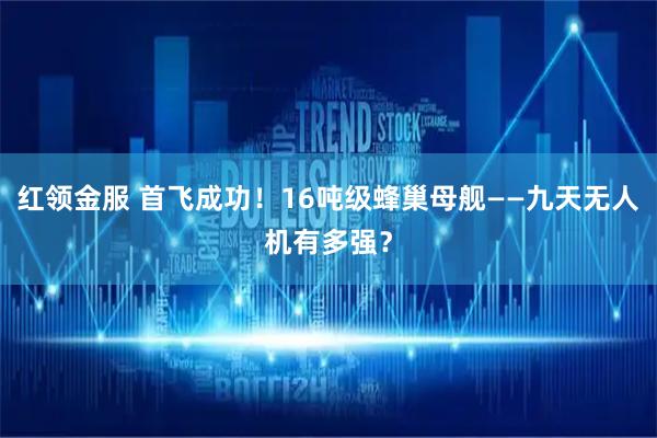 红领金服 首飞成功！16吨级蜂巢母舰——九天无人机有多强？